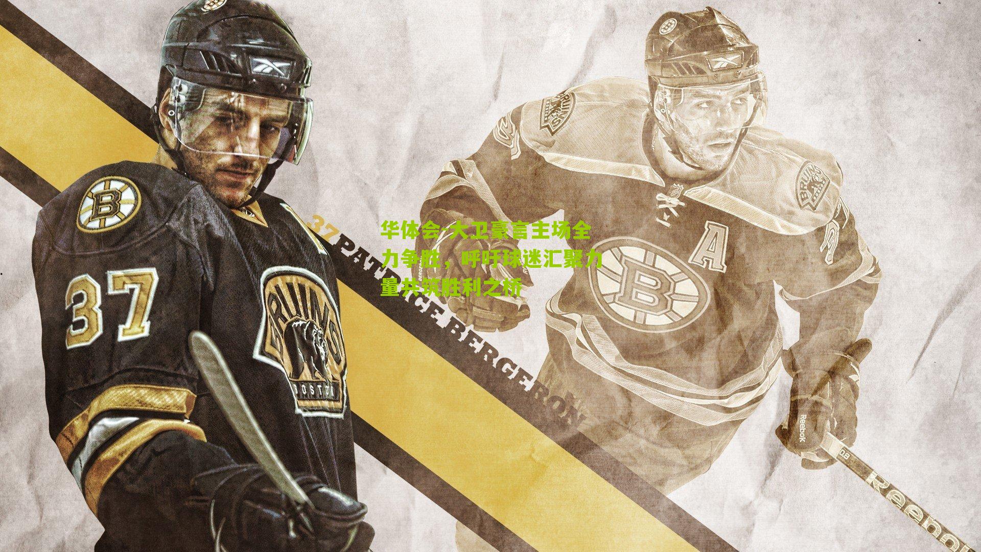 大卫豪言主场全力争胜,呼吁球迷汇聚力量共筑胜利之桥