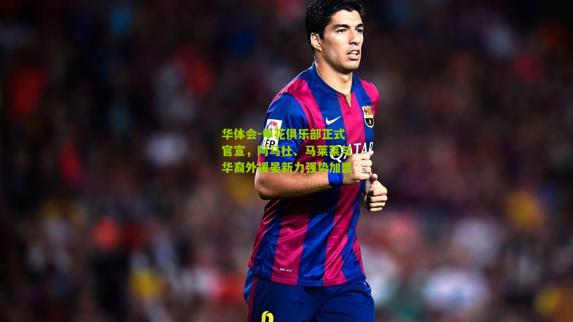 申花俱乐部正式官宣，阿马杜、马莱莱与华裔外援晏新力强势加盟