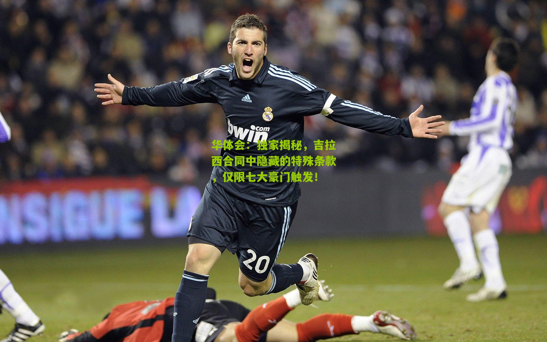 独家揭秘,吉拉西合同中隐藏的特殊条款,仅限七大豪门触发!